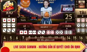Live Sicbo SUNWIN - Hướng Dẫn Bí Quyết Chơi Ổn Định